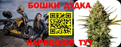 индика Новокубанск